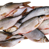 মাছ/ Fish