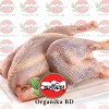 মাংস/ Meat