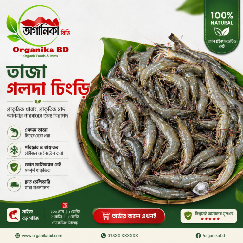 Fresh Bagda Chingri (Tiger Prawns) পানির প্রাকৃতিক বাগদা চিংড়ি। Size |