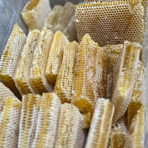 Organika BD Lychee Flower Honey (Lichu Phuler Modhu) - 500g | অর্গানিকা বিডি লিচু ফুলের মধু - ৫০০ গ্রাম