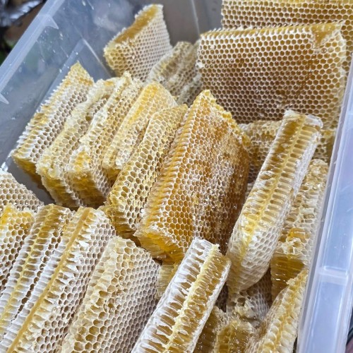 Natural Sundarban Raw Honeycomb with Honey | সুন্দরবনের প্রাকৃতিক চাকসহ মধুখলিশা ফুলের মধু