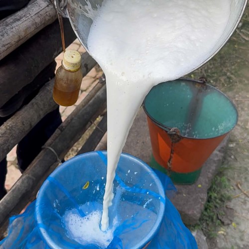 Organika BD Fresh Cow Milk | অর্গানিকা বিডি খাঁটি গরুর দুধ