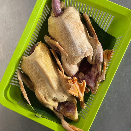 Organika BD Fresh Deshi Duck Meat (Whole Dressed) | অর্গানিকা বিডি তাজা দেশী হাঁসের মাংস (ড্রেসড)