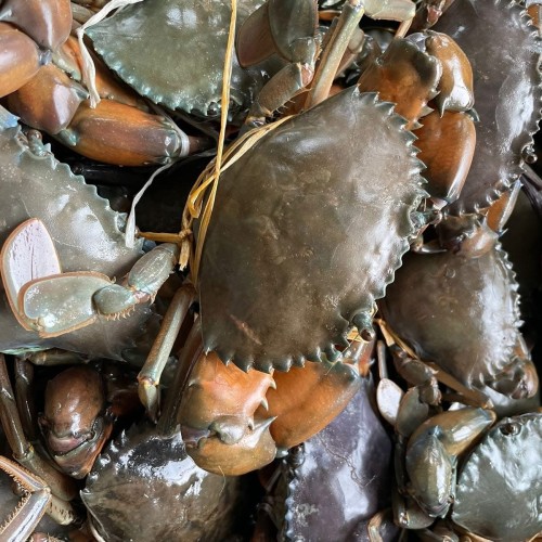 Organika BD Ready to Cook Hardshell Crab - Cleaned &amp; Cut Pieces | রেডি টু কুক হার্ডশেল কাঁকড়া - পরিচ্ছন্ন ও খণ্ড করা