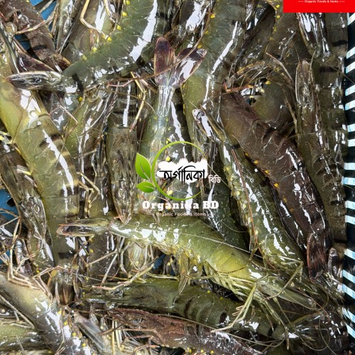 Fresh Bagda Chingri (Tiger Prawns) পানির প্রাকৃতিক বাগদা চিংড়ি। Size |
