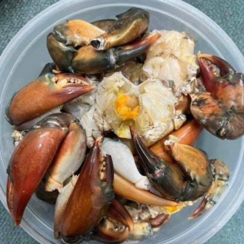Ready to Cook Hardshell Crab - Cleaned &amp;amp;amp;amp;amp; Cut Pieces | রেডি টু কুক হার্ডশেল কাঁকড়া - পরিচ্ছন্ন ও খণ্ড করা
