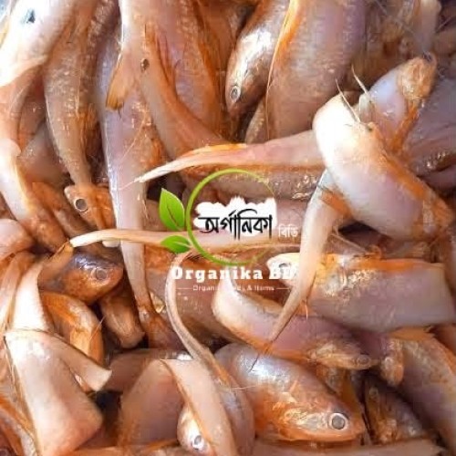 Fresh  Amadi/ Chanochona Fish (Small Mix Fish) | টাটকা  আমাদি /  চানাচুনা মাছ