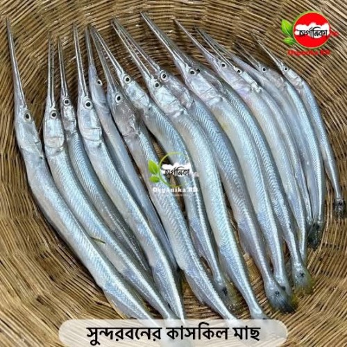 Fresh River Kaskil Fish (কাঙ্কিলা / কাসকিল মাছ) | দেশি নদীর তাজা কাসকিল মাছ