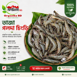 Fresh Bagda Chingri (Tiger Prawns) পানির প্রাকৃতিক বাগদা চিংড়ি। Size |