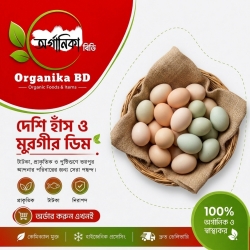 Organika BD Fresh Desi Duck &amp; Chicken Eggs Combo | অর্গানিকা বিডি তাজা দেশি হাঁস ও মুরগির ডিম