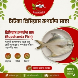 Fresh Sea Rupchanda Fish (Pomfret) | তাজা সামুদ্রিক রূপচাঁদা মাছ