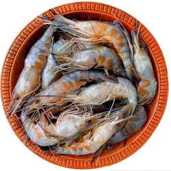 Organika BD Fresh Deshi Dima Chingri (Egg-Bearing Prawns)  অর্গানিকা বিডি দেশি ডিম চিংড়ি
