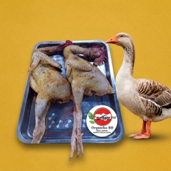 Organika BD Fresh Dressed Local Goose Meat (Deshi Raj Hasher Mangsho) | অর্গানিকা বিডি ফ্রেশ ড্রেসড দেশী রাজ হাঁসের মাংস