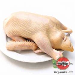 Organika BD Fresh Desi Hans / Local Duck (Live/Dressed) | অর্গানিকা বিডি তাজা দেশি হাঁস