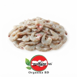 Organika BD Fresh Chali Chingri (Small Shrimp) | অর্গানিকা বিডি টাটকা চালি চিংড়ি