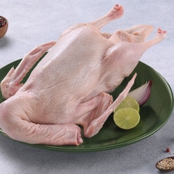 Organika BD Fresh Muscovy Duck Meat (China Hans) | অর্গানিকা বিডি দেশি চিনা হাঁসের মাংস